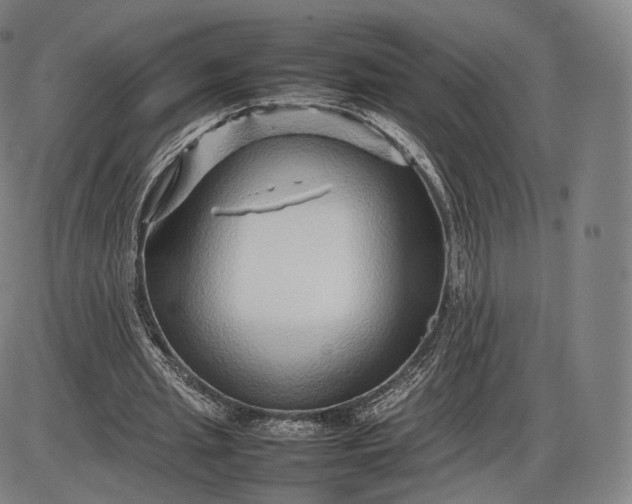 X0000085830437200703301623