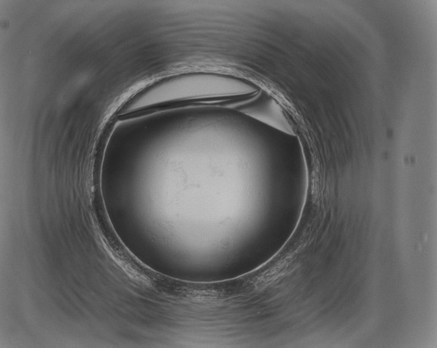 X0000085830438200703301623