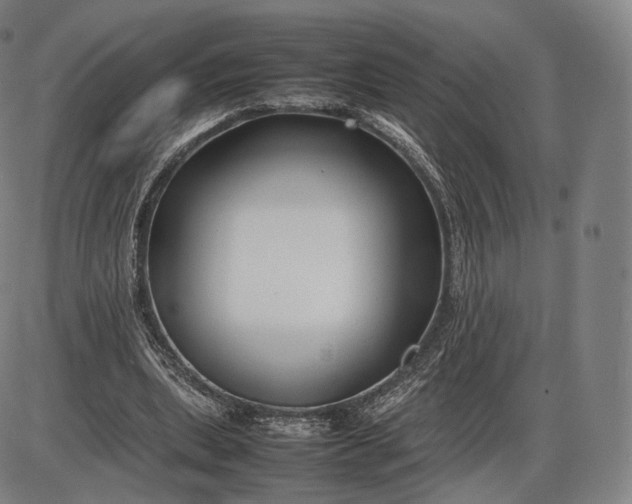 X0000085830439200703301623