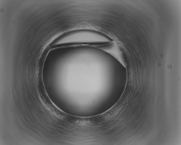 X0000085830440200703301623