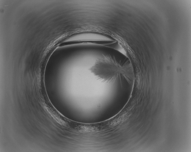 X0000085830442200703301623