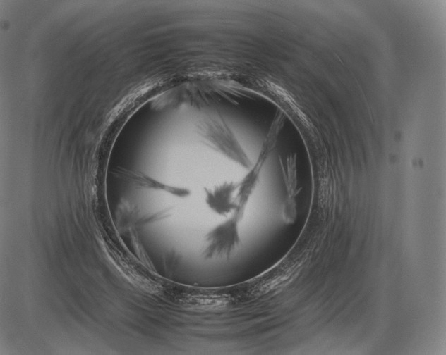 X0000085830443200703301623