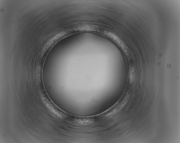 X0000085830445200703301623