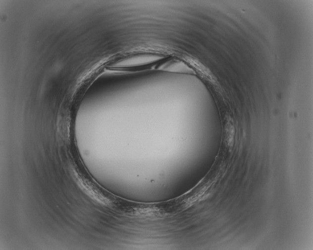 X0000085830446200703301623