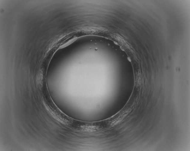 X0000085830448200703301623