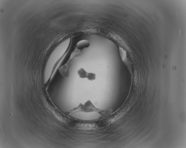 X0000085830449200703301623