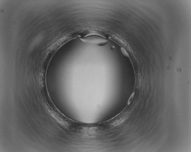 X0000085830450200703301623