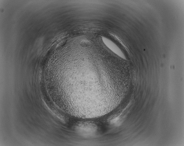 X0000085830451200703301623