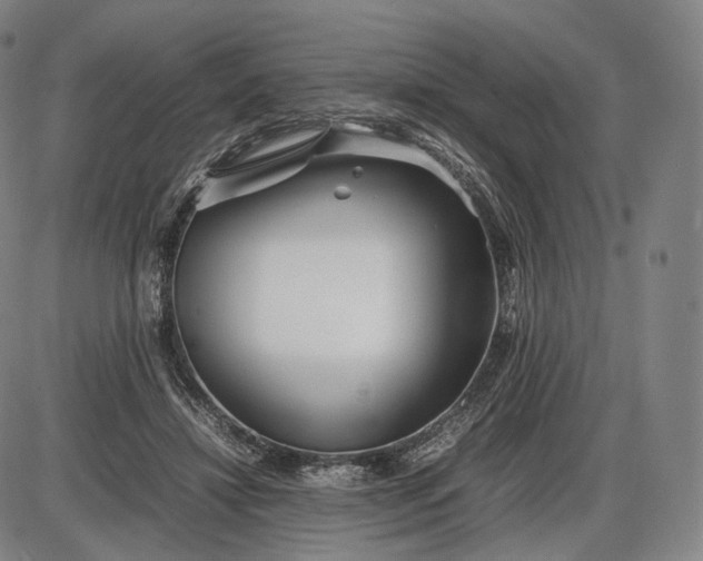 X0000085830452200703301623