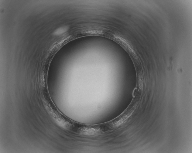 X0000085830453200703301623