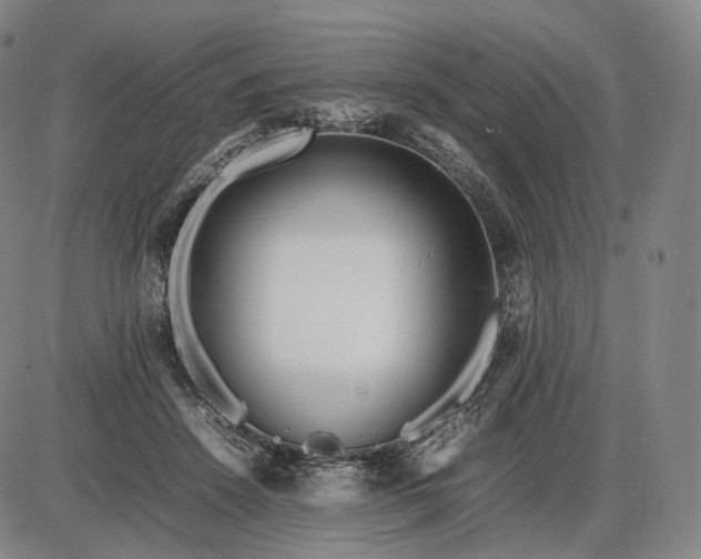 X0000085830456200703301623