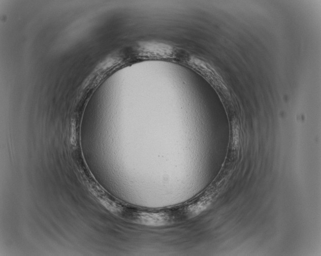 X0000085830457200703301623