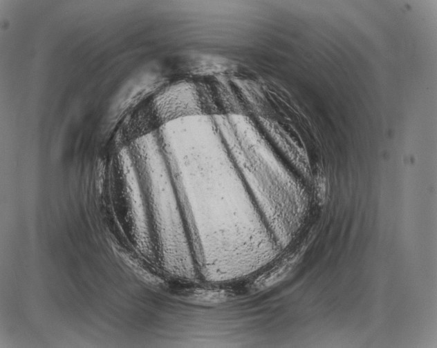 X0000085830458200703301624