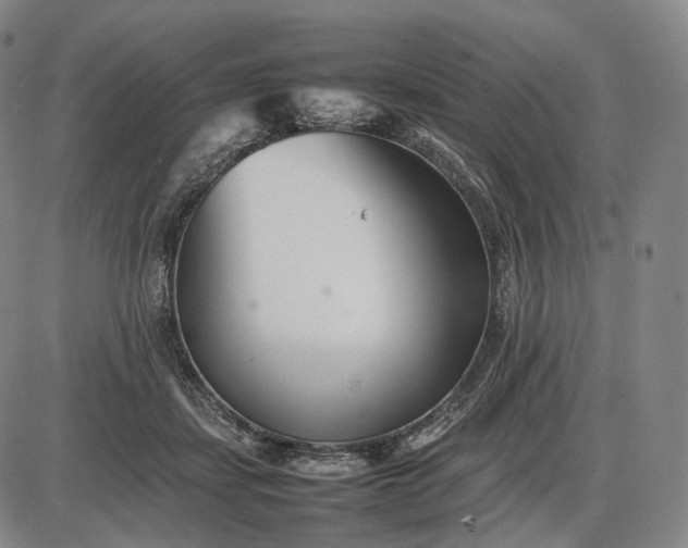 X0000085830459200703301624