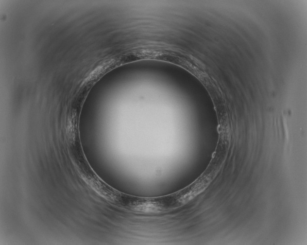 X0000085830460200703301624