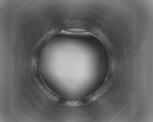 X0000085830461200703301624