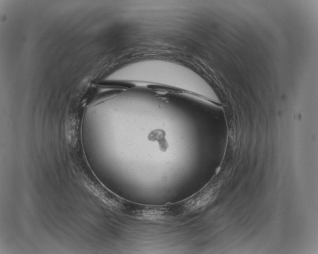 X0000085830462200703301624