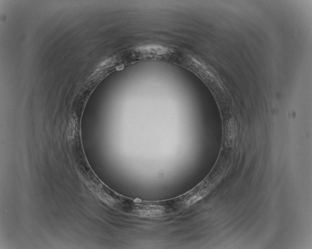 X0000085830463200703301624