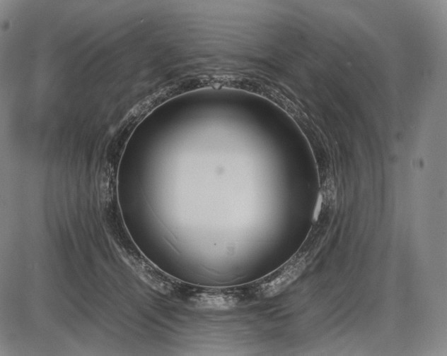 X0000085830464200703301624