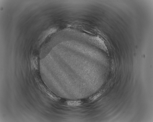 X0000085830465200703301624