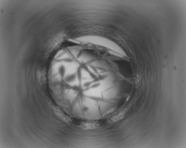 X0000085830466200703301624