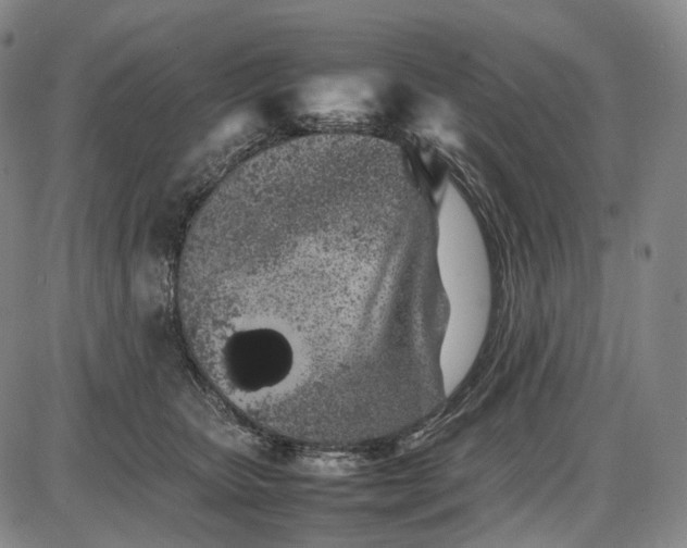 X0000085830467200703301624