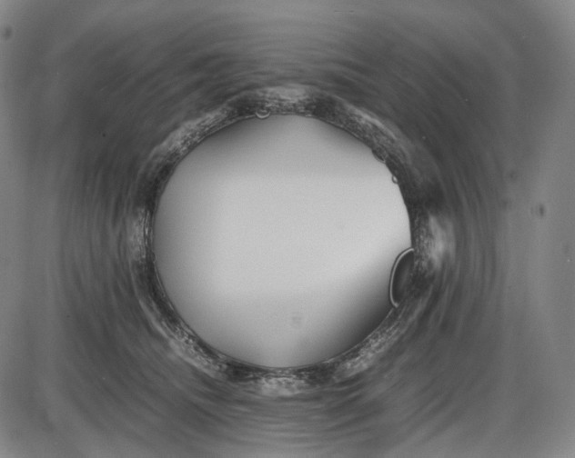 X0000085830468200703301624