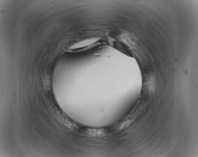 X0000085830469200703301624