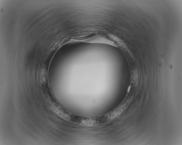 X0000085830470200703301624