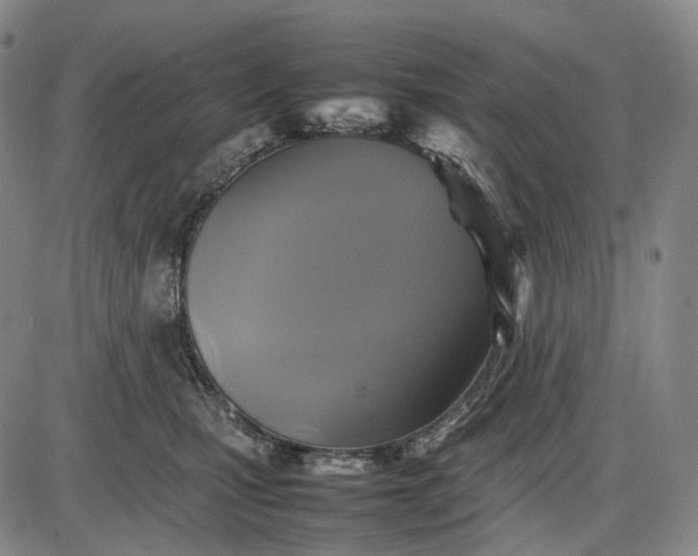 X0000085830471200703301624