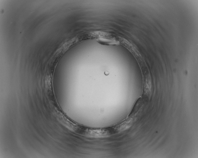 X0000085830473200703301624