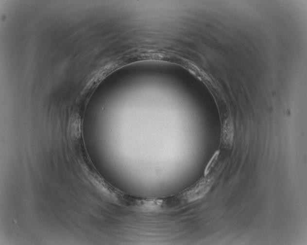 X0000085830474200703301624