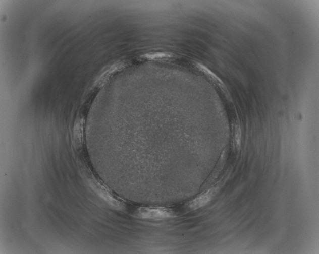 X0000085830475200703301624