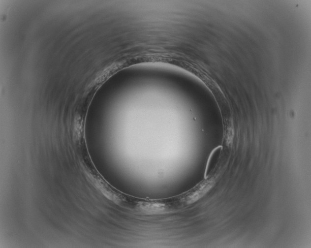 X0000085830476200703301624