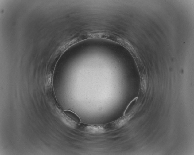 X0000085830477200703301624