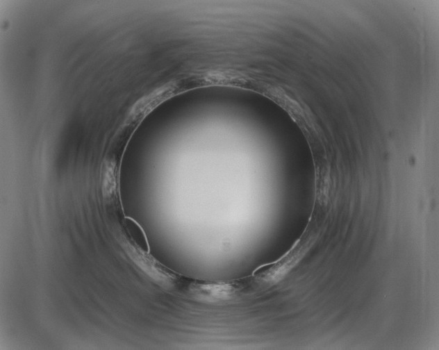 X0000085830478200703301624