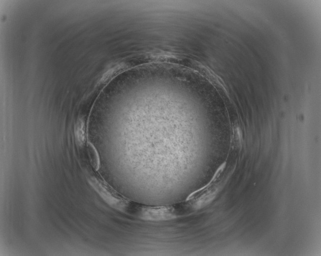 X0000085830479200703301624