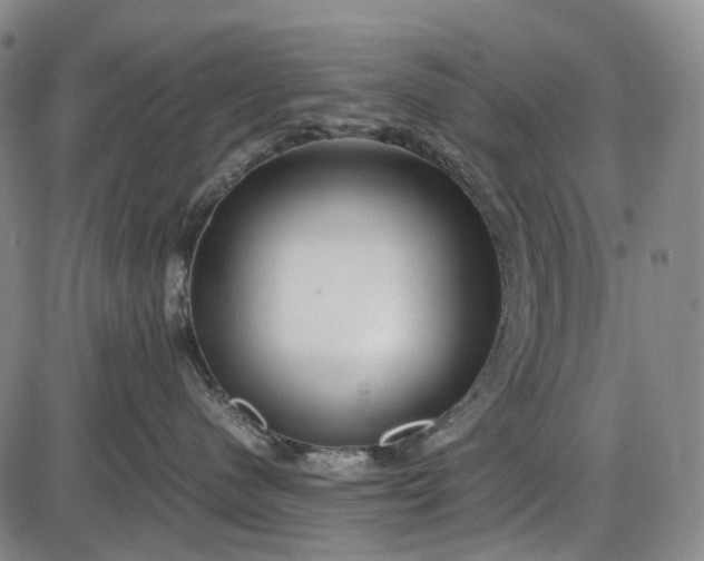 X0000085830480200703301624