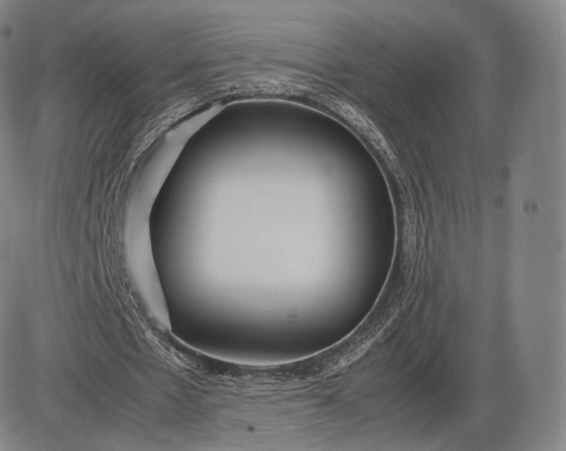 X0000085830481200703301623