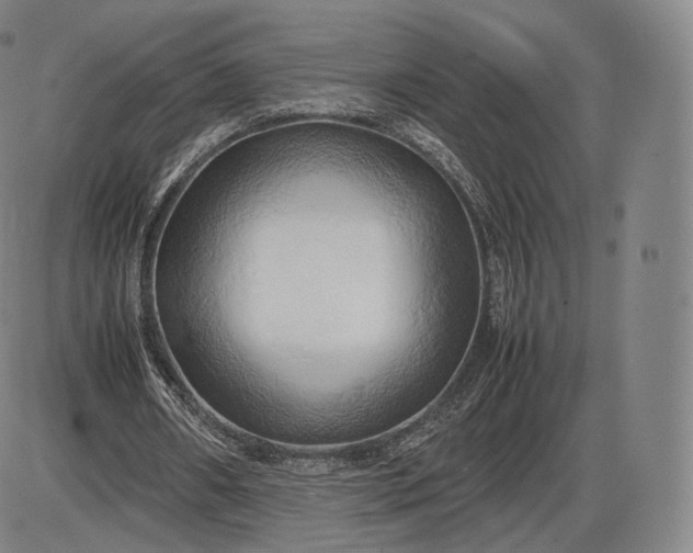 X0000085830482200703301623