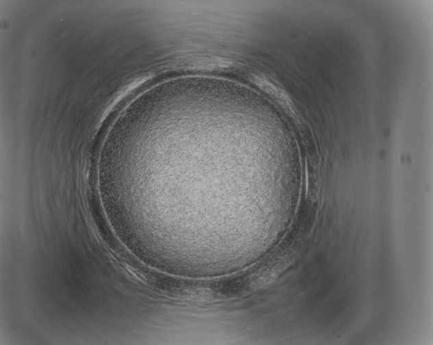 X0000085830483200703301623