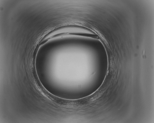 X0000085830485200703301623