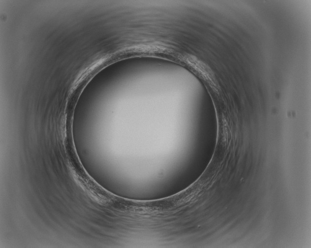 X0000085830486200703301623