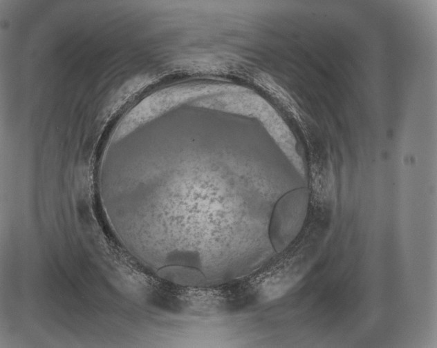 X0000085830487200703301623