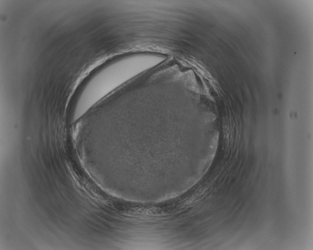 X0000085830488200703301623