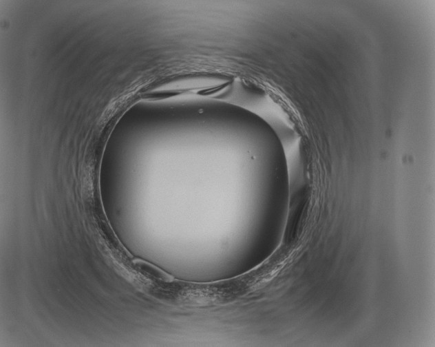 X0000085830489200703301623