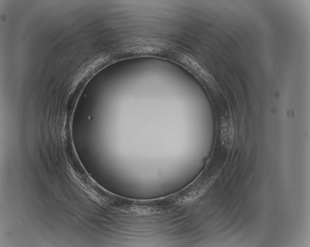 X0000085830490200703301623