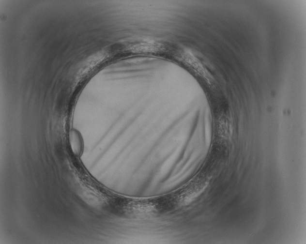 X0000085830491200703301623