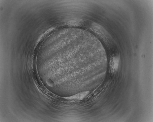 X0000085830492200703301623