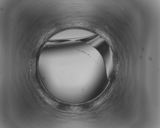 X0000085830493200703301623